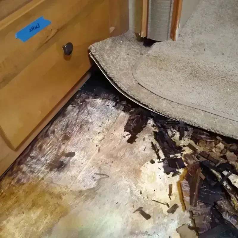 Wood Floor Water Damage in Cayce, SC